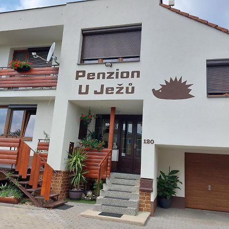 Penzion U Jezu - Ubytovani Пасохлавки Экстерьер фото