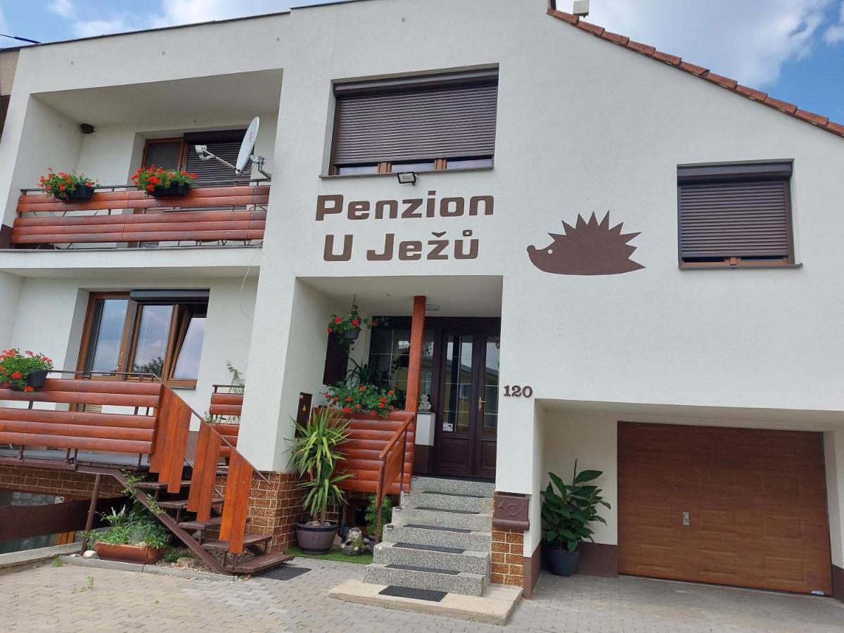 Penzion U Jezu - Ubytovani Пасохлавки Экстерьер фото